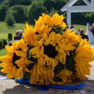 Meet your Posher, Bonnie